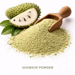 Soursop (Annona muricata)