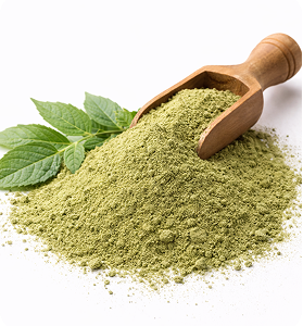 African Basil- Scent leaf Powder
