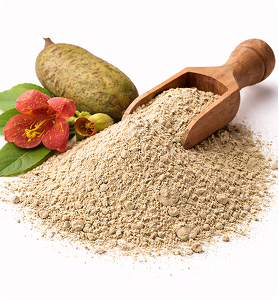 Kigelia Africana Powder