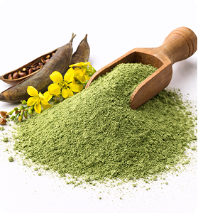 Cassia Powder