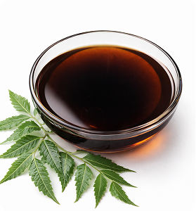 Neem (Azadirachta indica) Extract